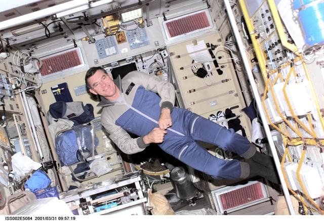 NASA image: Voss in Service Module