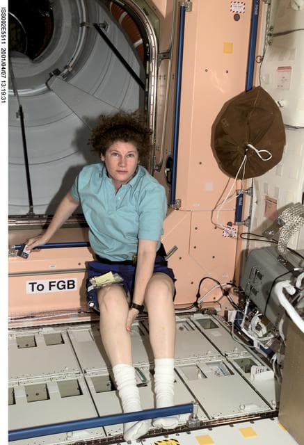 NASA image: Helms in Node 1/Unity module