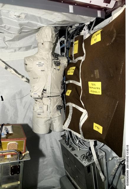 NASA image: Phantom Torso in HRF section of Destiny module