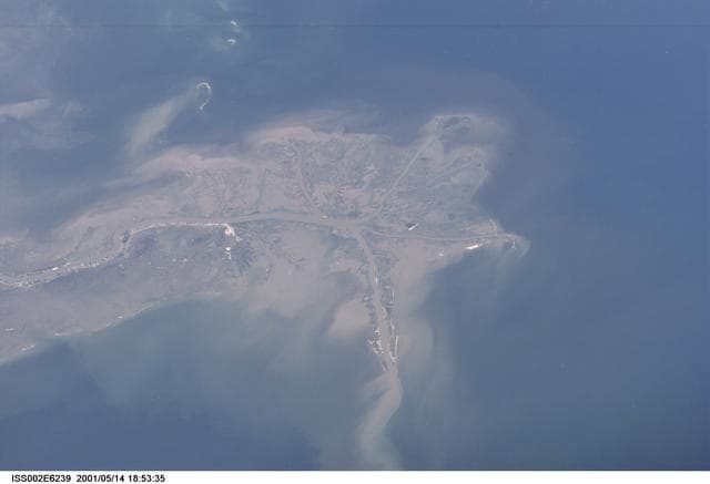 NASA image: Mississippi delta taken by the Expedition Two crew
