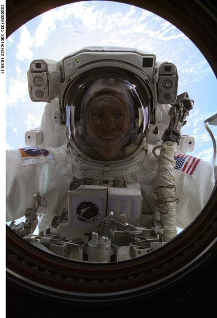 NASA image: View of STS-100 MS Parazynski during EVA 1 at Destiny laboratory window