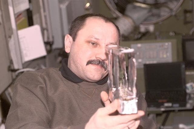 NASA image: Yury Usachev examines a plant experiment in Zvezda during Expedition Three