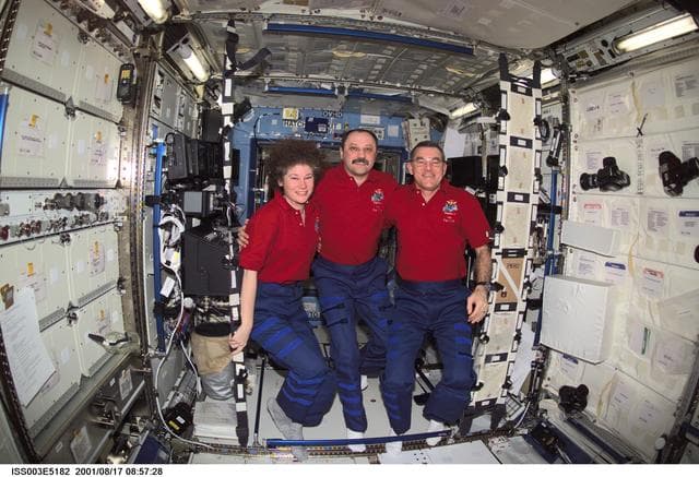 NASA image: The Expedition Two crew pose in the U.S. Laboratory