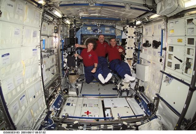 NASA image: The Expedition Two crew pose in the U.S. Laboratory
