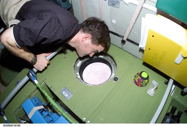 NASA image: STS-110 MS Walheim looks through a window in the Zvezda SM during Expedition Four