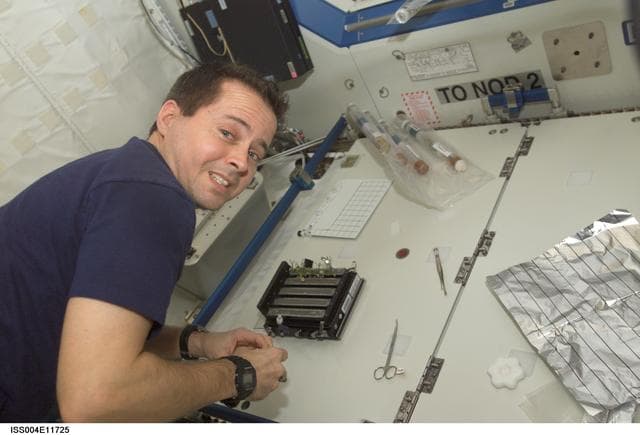 NASA image: Bursch harvests Brassica plants in the U.S. Lab during Expedition Four