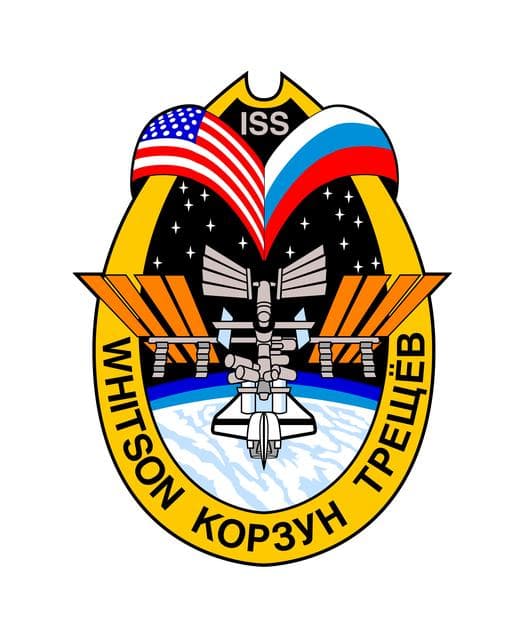 NASA image: ISS Expedition Five NASA Insignia