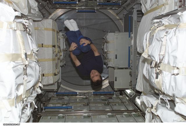 NASA image: Bursch, Expedition Four flight engineer, floats in the Leonardo MPLM