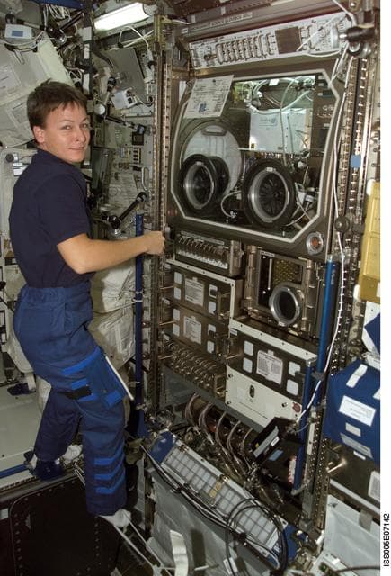 NASA image: Whitson works at the MSG in the U.S. Laboratory during Expedition Five