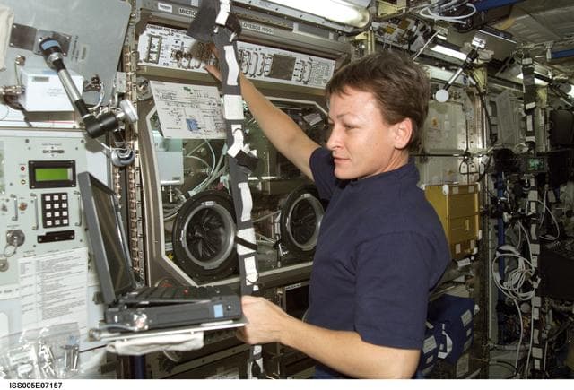 NASA image: Whitson works at the MSG in the U.S. Laboratory during Expedition Five