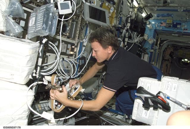 NASA image: Whitson works at the MSG in the U.S. Laboratory during Expedition Five