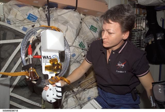 NASA image: WA1 Antenna assembly cables and connector