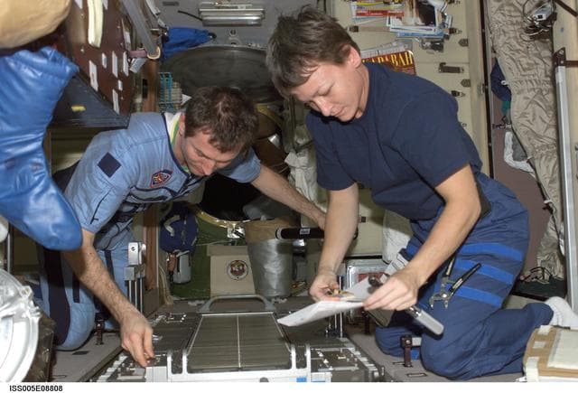 NASA image: Whitson and Treschev work on TVIS treadmill