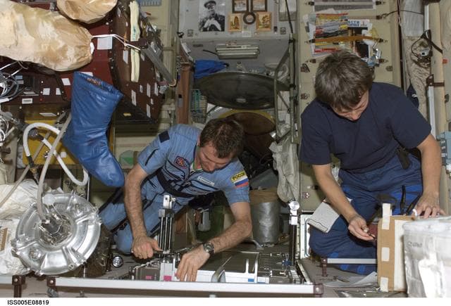NASA image: Whitson and Treschev work on TVIS treadmill