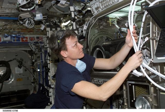 NASA image: Whitson working on the MSG in the U.S. Laboratory during Expedition Five on the ISS