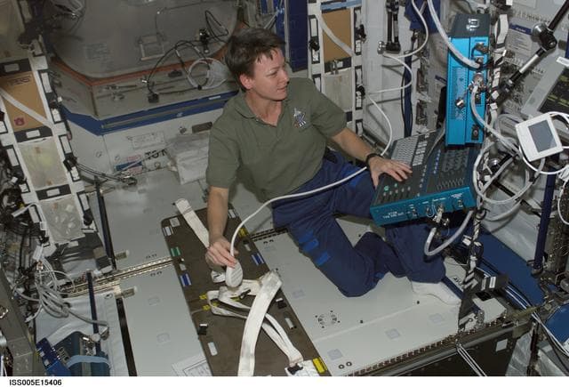 NASA image: Whitson works at the HRF workstation in U.S. Laboratory during Expedition Six