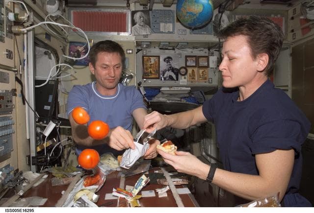 NASA image: Treschev and Whitson share a meal in the SM during Expedition Five on the ISS