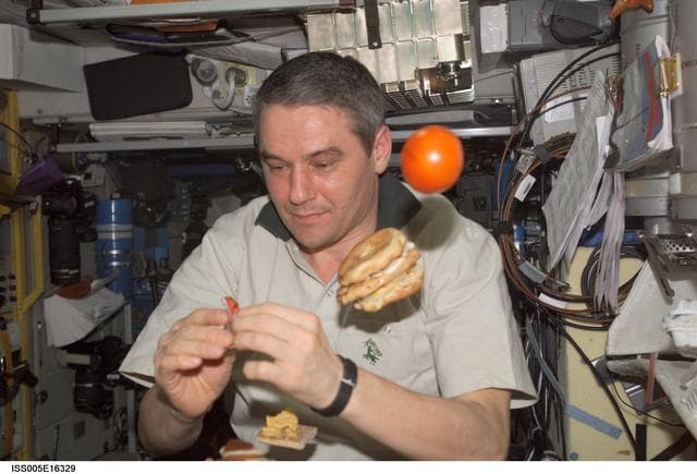 NASA image: Korzun eating in the SM during Expedition Five on the ISS