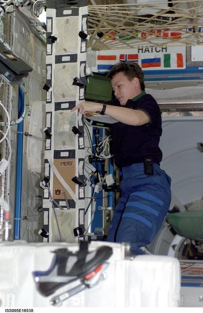 NASA image: Whitson works in the U.S. Laboratory during Expedition Five on the ISS