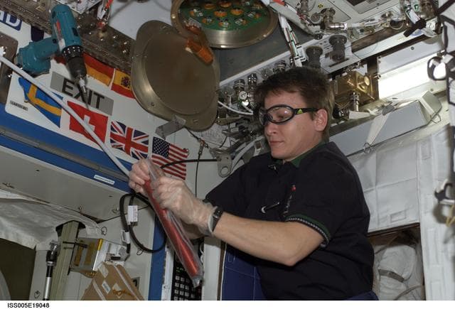 NASA image: Whitson works with experiment cartridge for the ZCG experiment in the U.S. Laboratory