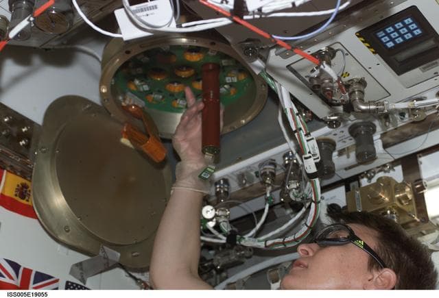 NASA image: Whitson places cartridge into the ZCG experiment in the U.S. Laboratory