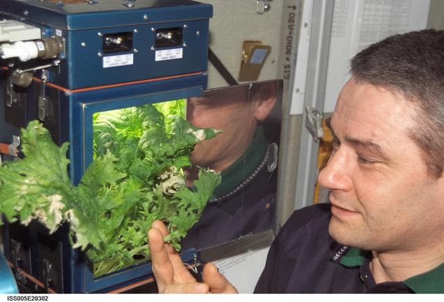 NASA image: Korzun checks the Rasteniya-2 plant growth experiment in the SM during Expedition Five