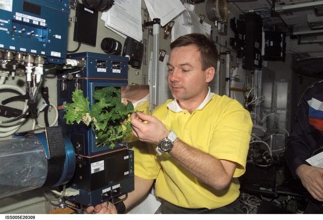 NASA image: Lonchakov checks the Rasteniya-2 plant growth experiment in the SM during Expedition Five