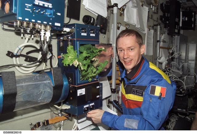 NASA image: DeWinne posing at the Rasteniya-2 plant growth experiment in the SM during Expedition Five