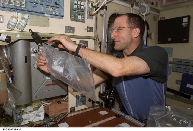 NASA image: Expedition Six Flight Engineer Pettit uses a chemical/microbial analysis bag to collect water sample