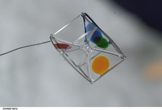 NASA image: Surface Tension Demonstration using Water and Food Coloring in the U.S. Laboratory