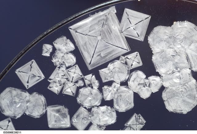 NASA image: Close-up view of Sodium Chloride crystals in a water bubble on Expedition Six.