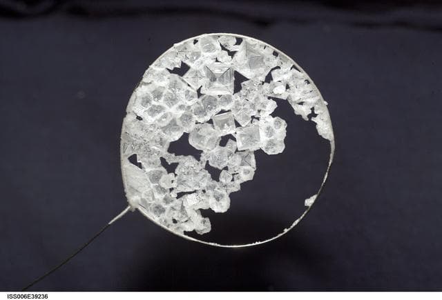 NASA image: Close-up view of Sodium Chloride crystals in a water bubble on Expedition Six.