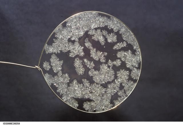 NASA image: View of sugar crystals in a water bubble on Expedition Six