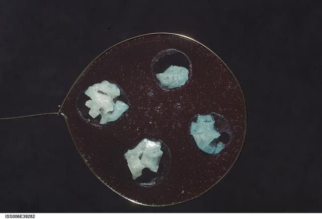 NASA image: View of Sodium Chloride inserted onto blueberry jelly within a metal loop on Expedition Six