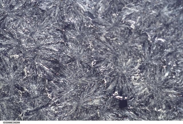 NASA image: Close-up view of sugar crystals in a water bubble within a metal loop on Expedition Six