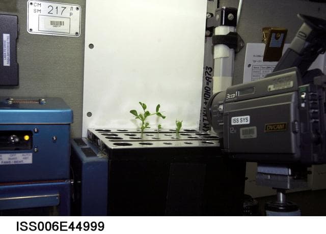 NASA image: View of the Russian BIO-5 Rasteniya-2/Lada-2 (Plants-2) plant growth experiment in the SM