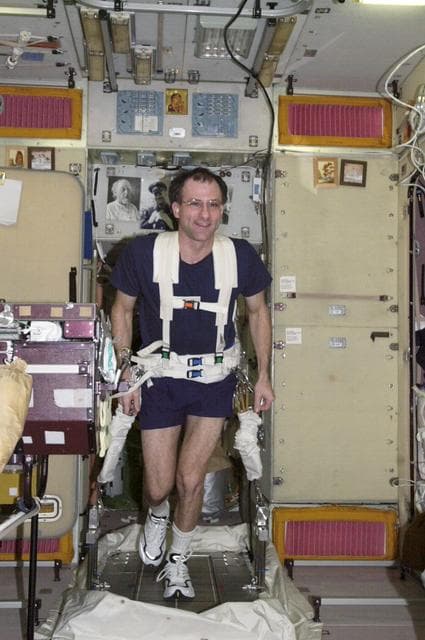 NASA image: Flight Engineer Donald R. Pettit exercises on the TVIS in the SM during Expedition Six