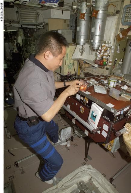 NASA image: Expedition Seven Science Officer Lu slices tomatoes in Zvezda module