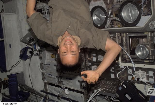 NASA image: Science Officer Lu  in Destiny laboratory