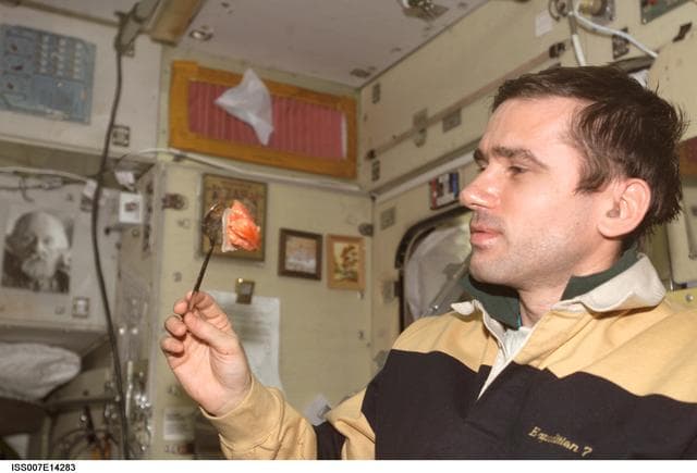 NASA image: Expedition Seven Malenchenko eating in Zvezda Service module