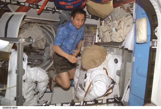NASA image: Expedition Seven Lu with EMU in Quest airlock