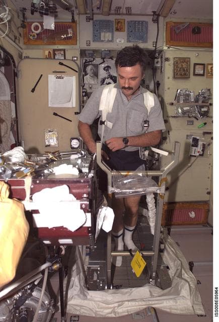 NASA image: Kaleri prepares for a data collection / exercise session on the TVIS in the SM during Expedition 8