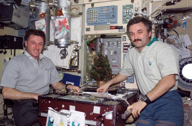 NASA image: Foale and Kaleri pose with Christmas tree and stockings in the SM galley during Expedition 8