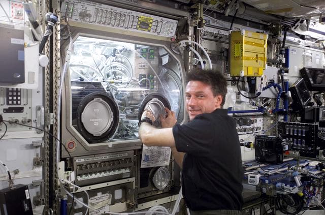 NASA image: Foale works at the MSG / ESEM in the U.S. Lab during Expedition 8