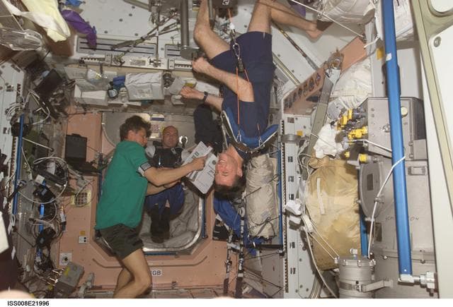 NASA image: Padalka and Kuipers review procedures in Node 1 as Foale exercises on IRED during EXP 9 / EXP 8