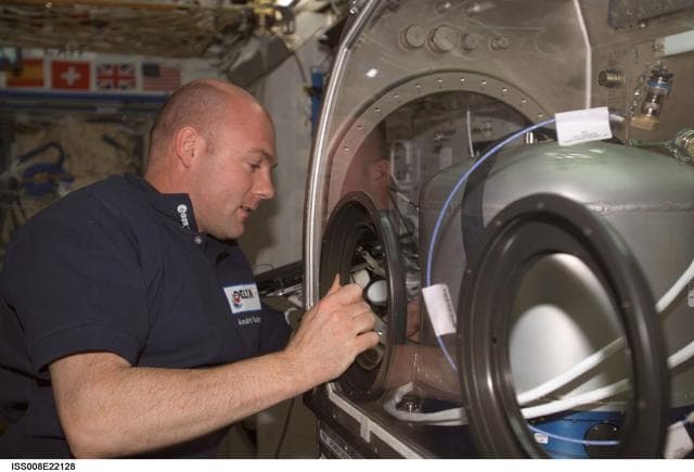 NASA image: Kuipers conducts ARGES experiment OPS at the MSG during EXP 8 / EXP 9