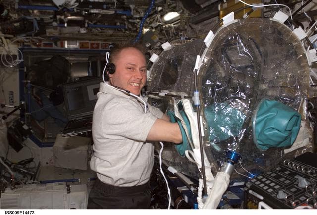 NASA image: Fincke conducts ISSI tests inside the MWA containment system onboard the U.S. Lab during Expedition 9