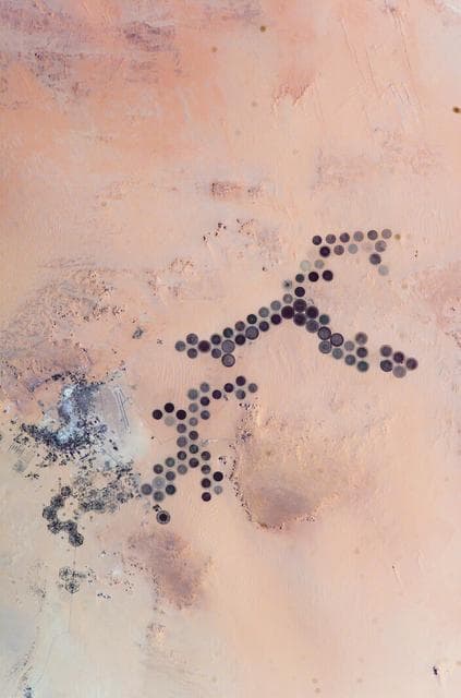 NASA image: Earth Observations taken by the Expedition 10 crew