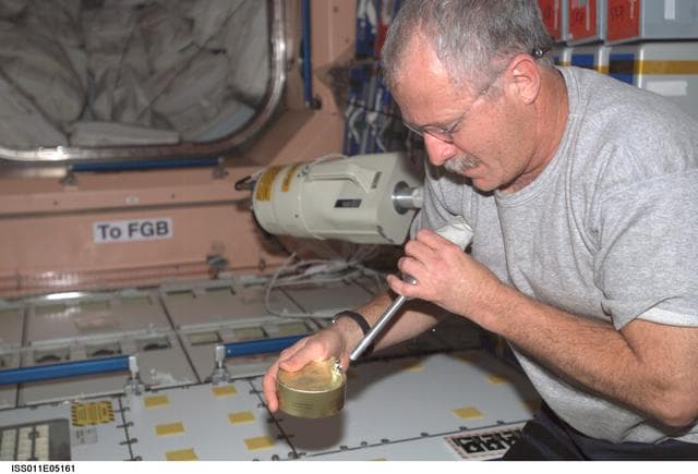 NASA image: Expedition 11 Science Officer and Flight Engineer John Phillips in Node 1/Unity