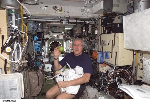 NASA image: Phillips with stowage from Progress